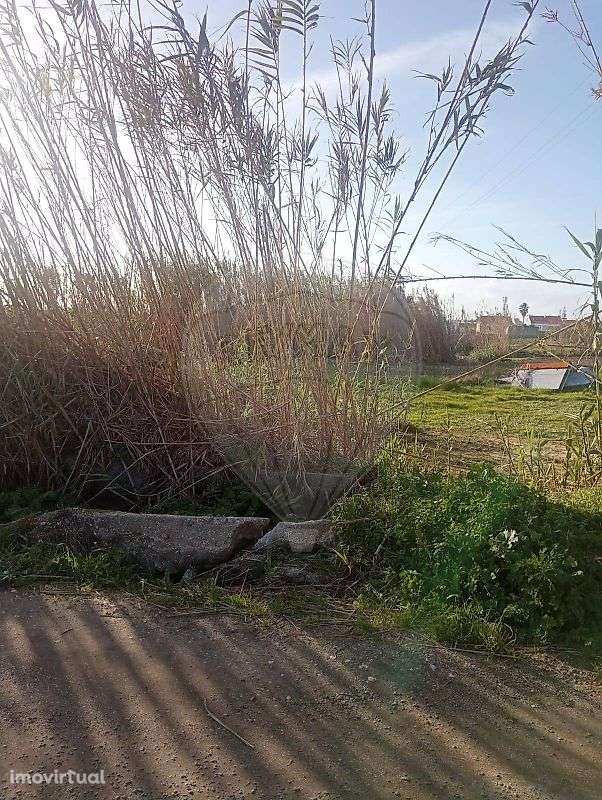 Terreno  para venda - Grande imagem: 5/9