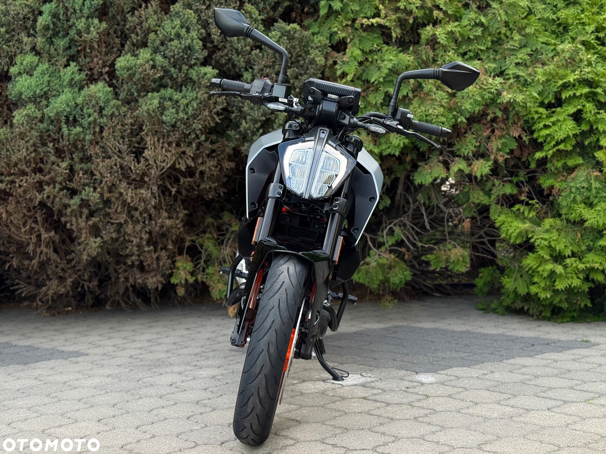 KTM Duke - 8