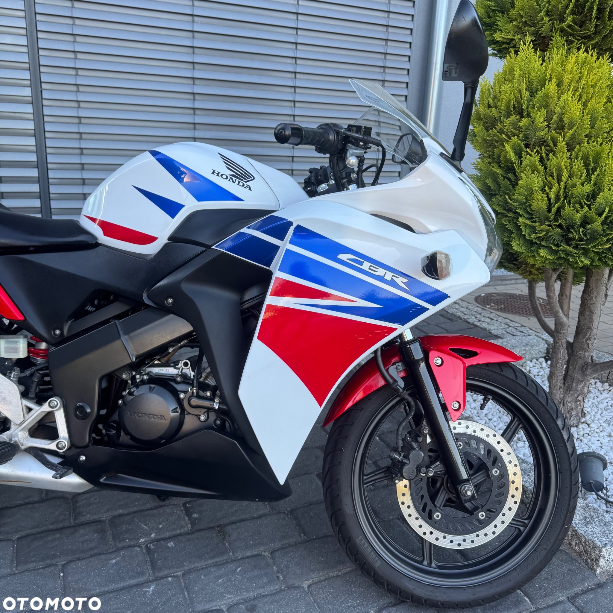 Honda CBR - 5