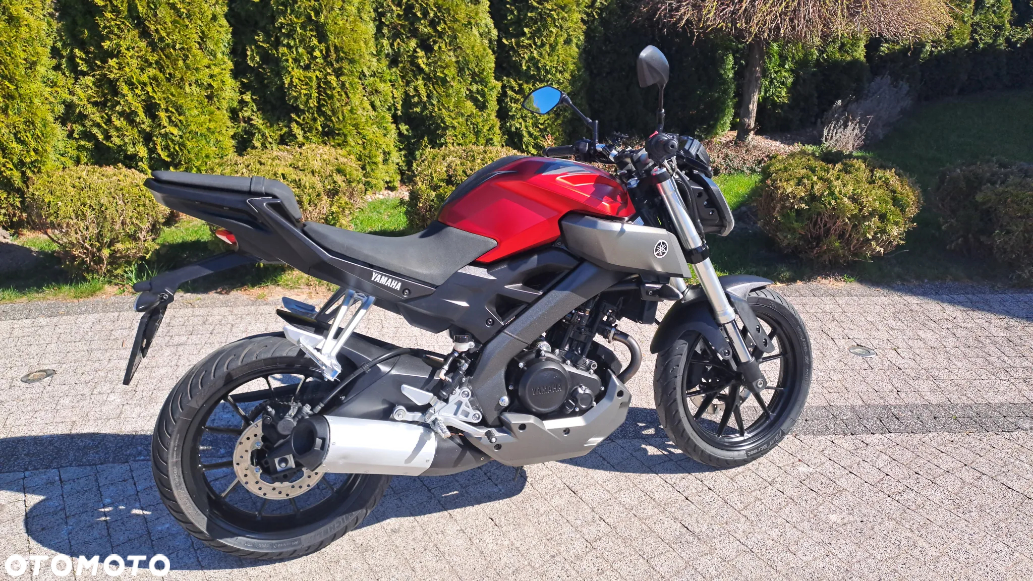 Yamaha MT - 6