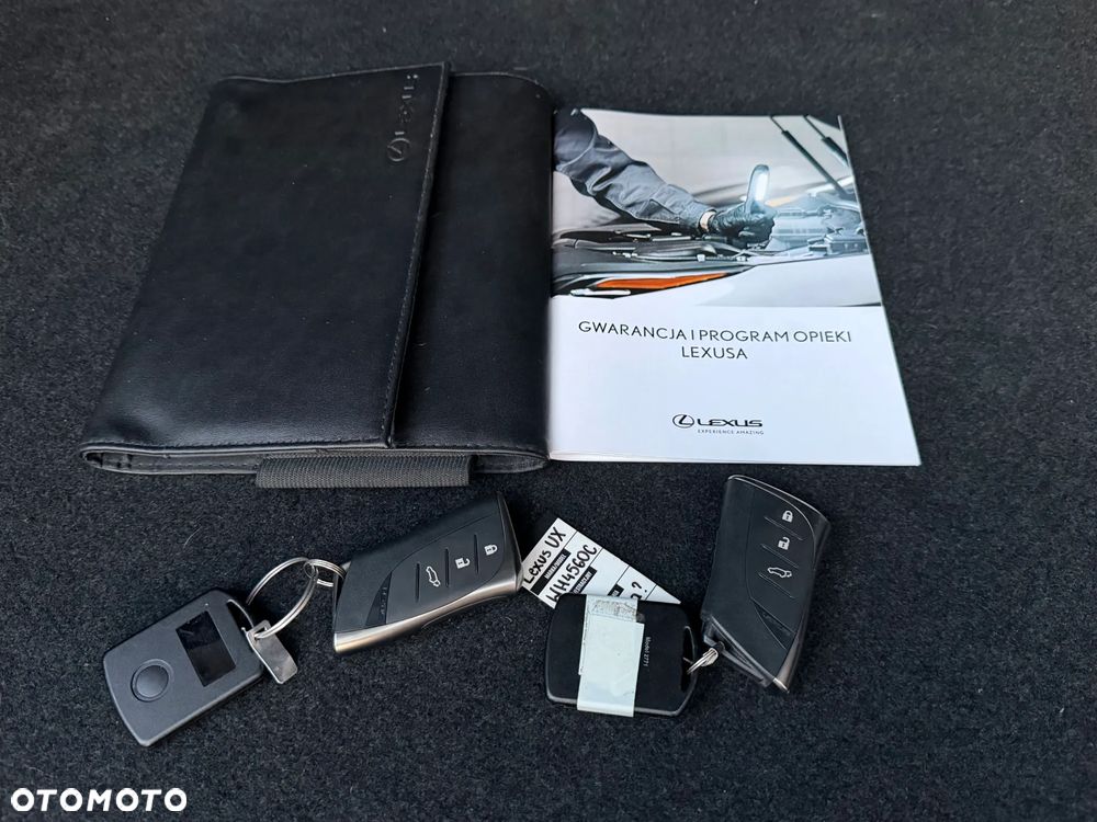 Lexus UX 250h F Sport 2WD - 40