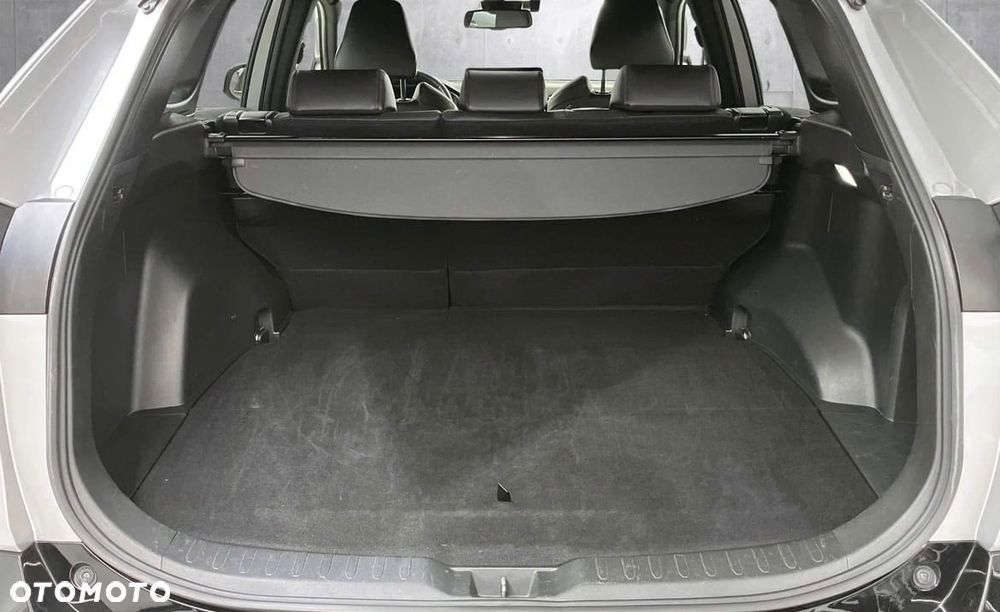 Toyota RAV4 Style - 17