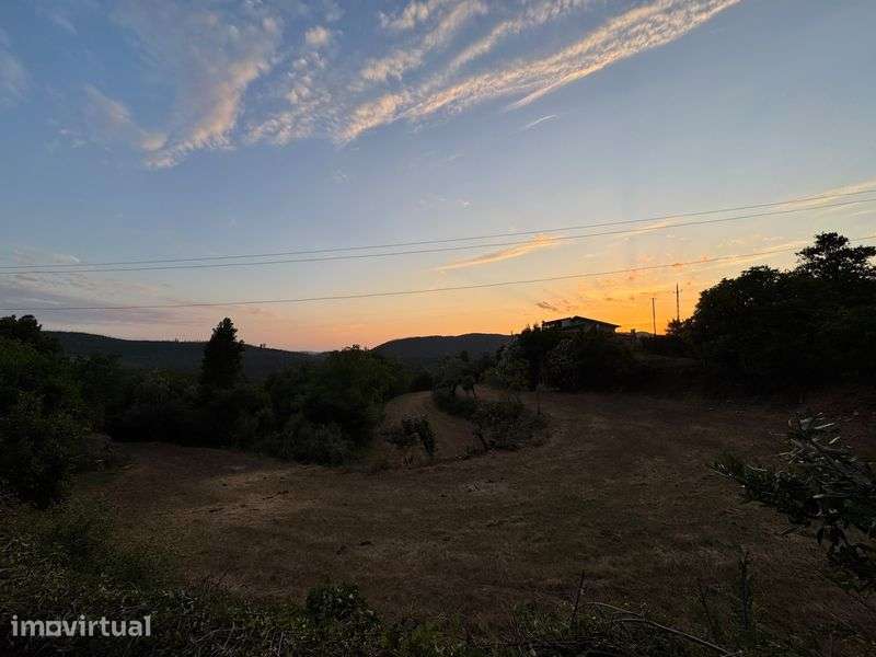 Moradia T5 independente com 4 hectares - Grande imagem: 5/7