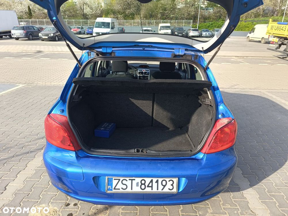 Peugeot 307 1.6 - 15