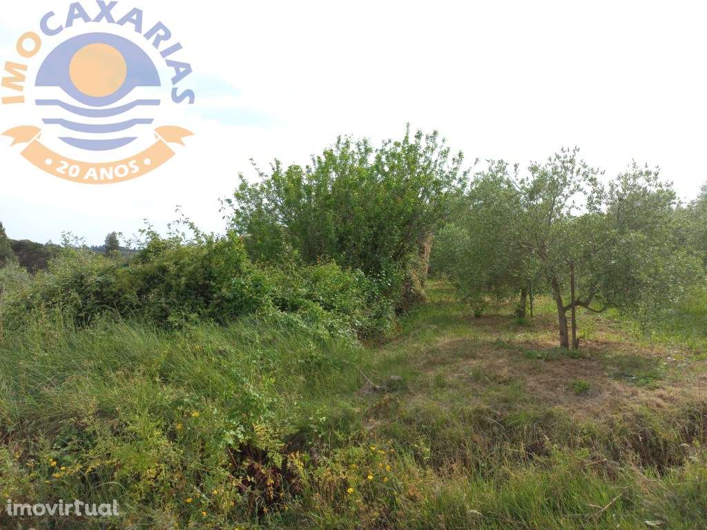 Terreno com Ruína para recuperar - Grande imagem: 5/7