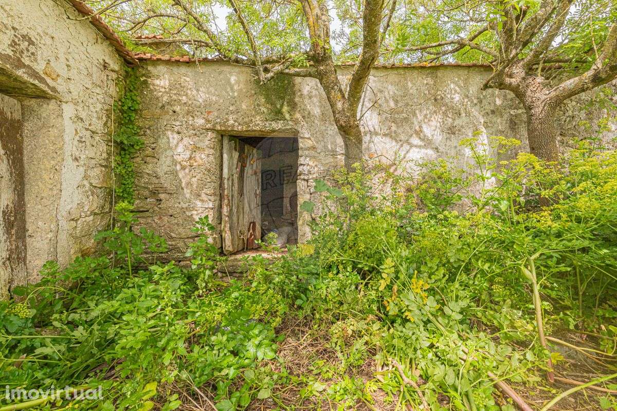 Moradia T5 para venda - Grande imagem: 4/17