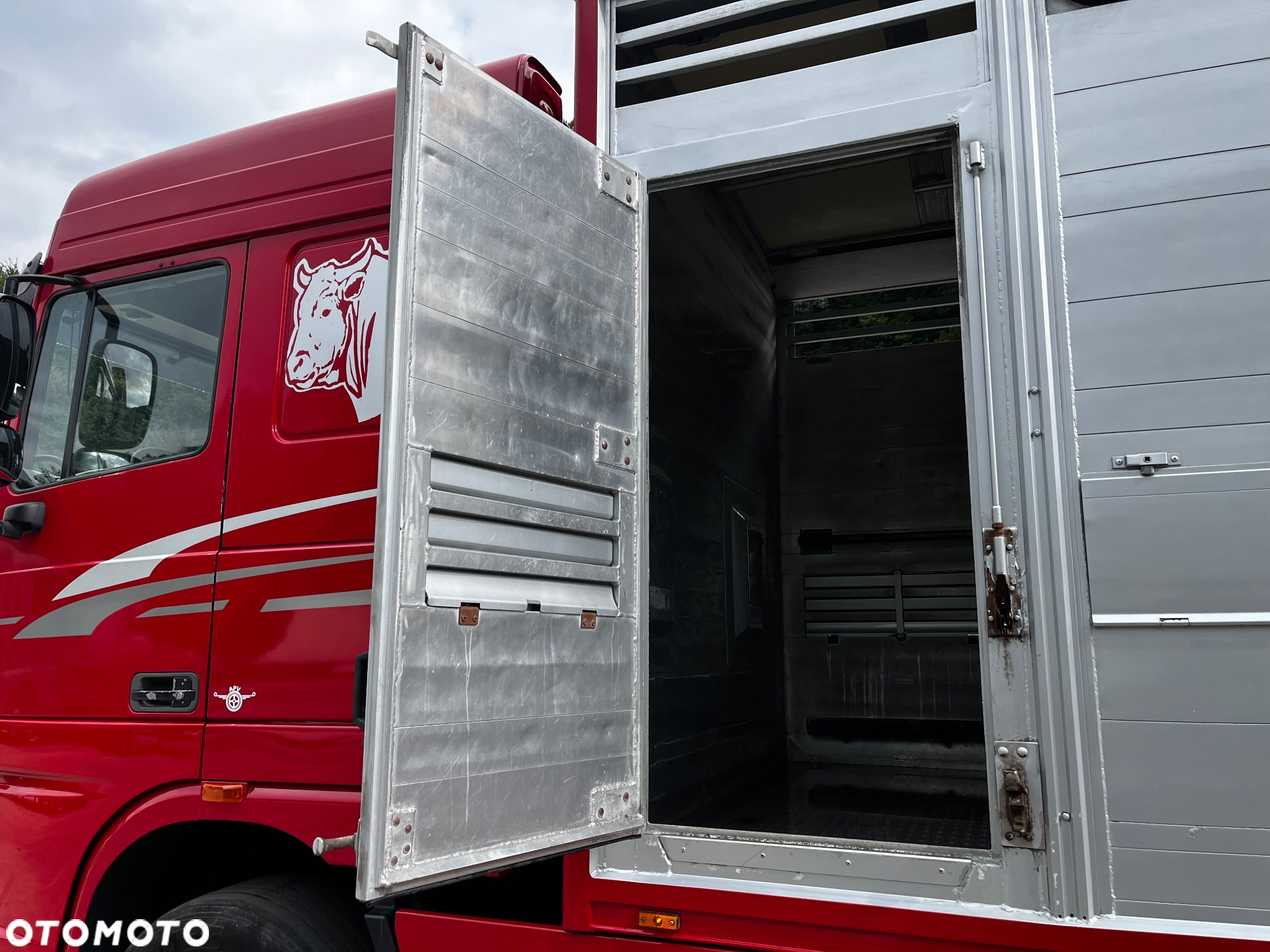 DAF XF 105.460 Euro 5 // Manual // Retarder // Do Żywca / Bydła / Zwierząt / - 12