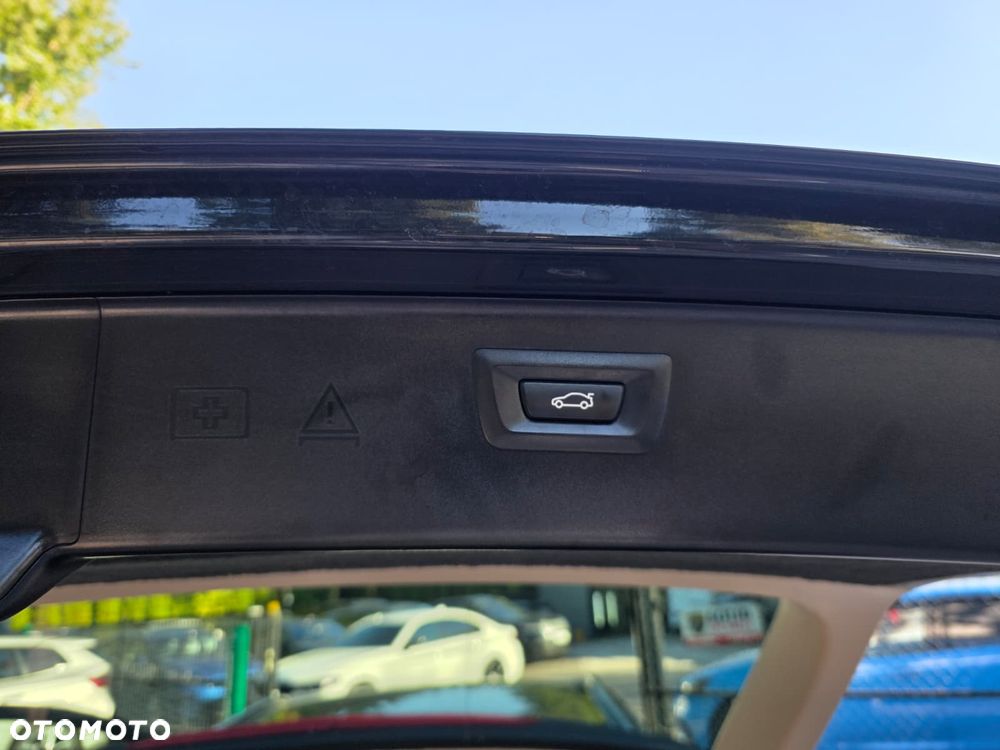 BMW Seria 5 520d xDrive mHEV Luxury Line - 30