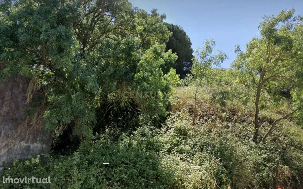 Terreno Rústico em Sintra: Localização Privilegiada e Tranquila- Almar - Grande imagem: 3/9