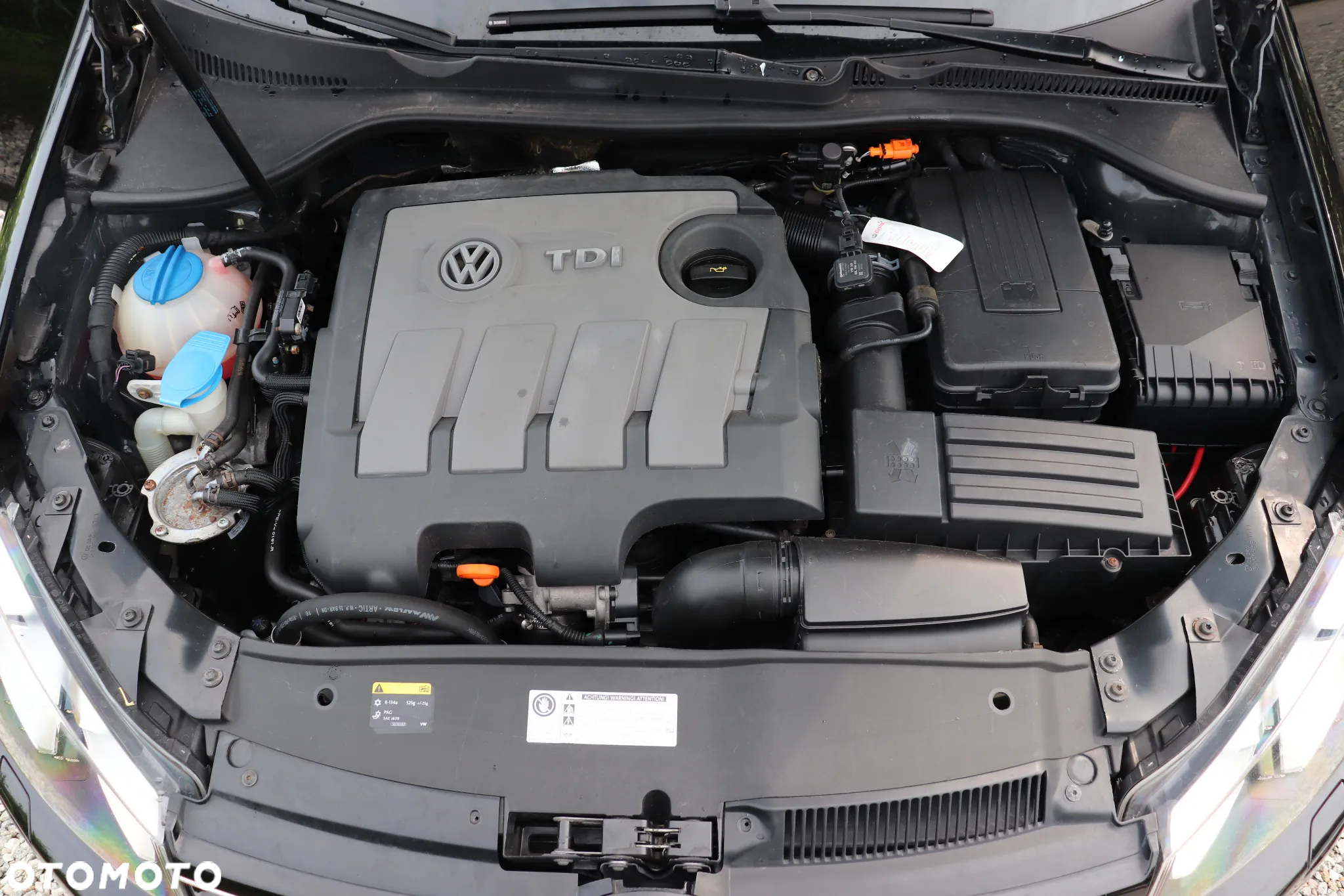 Volkswagen Golf - 10