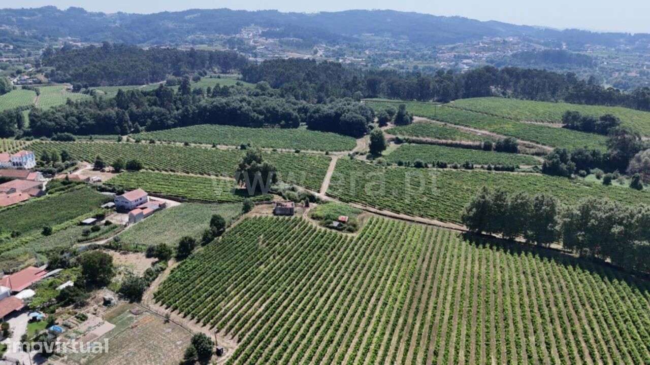 Terreno para Construção / Lousada, Caíde de Rei - Grande imagem: 5/7