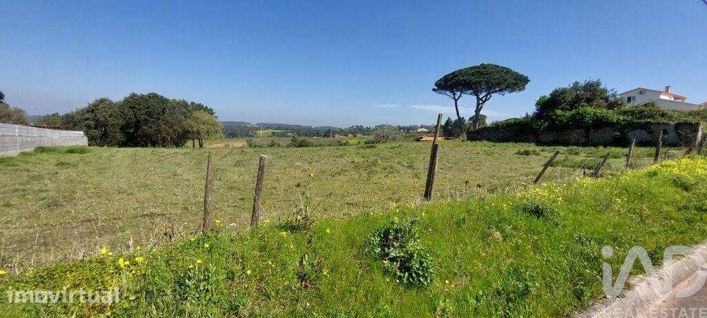 Terreno para construção em Aljubarrota - Grande imagem: 2/6