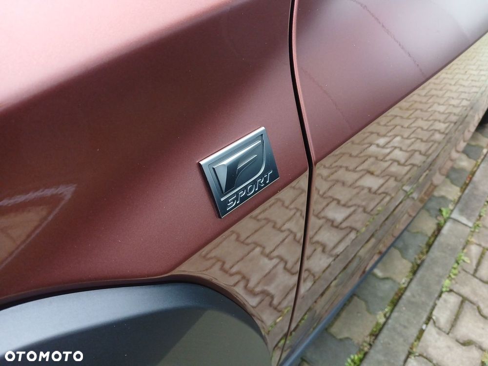 Lexus UX 300h F Sport Design - 27