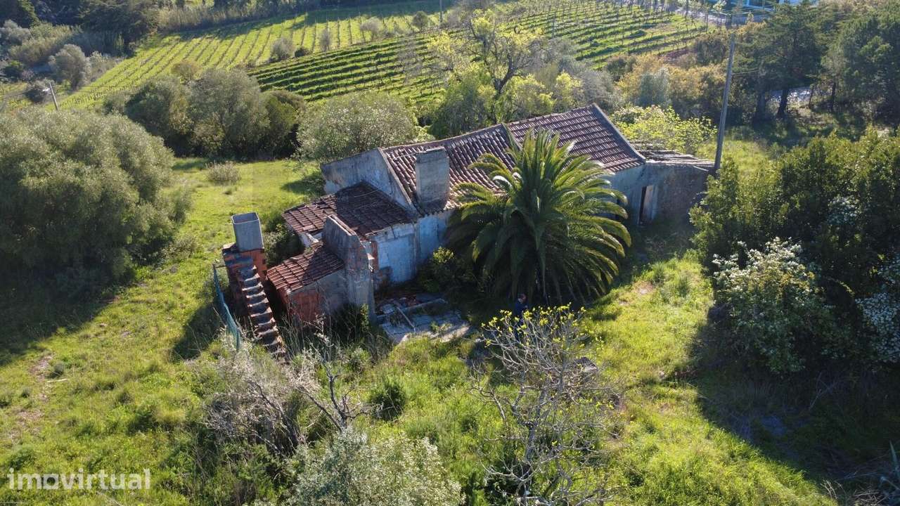 Terreno no Parque Natural da Arrábida - Grande imagem: 3/16