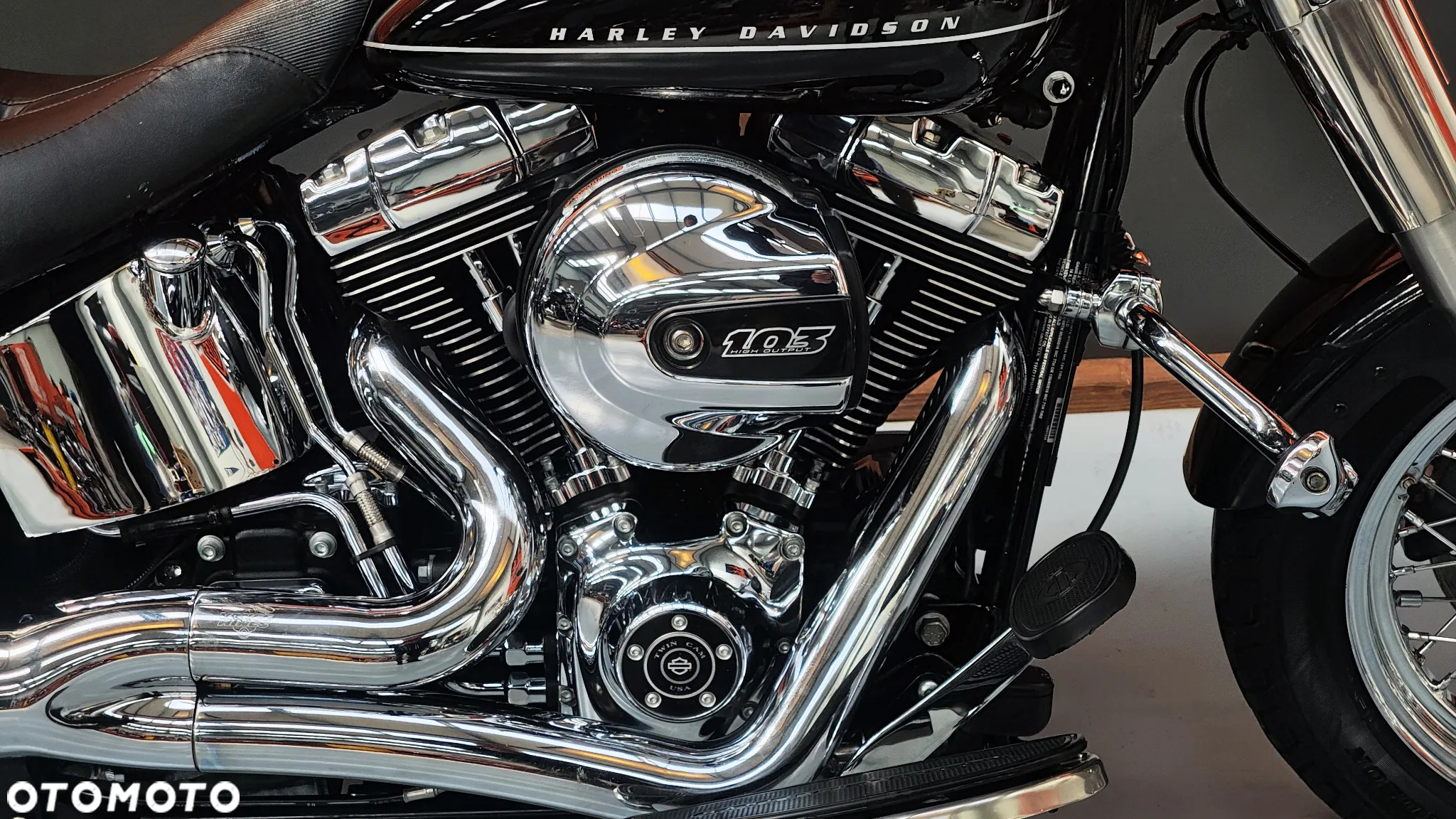 Harley-Davidson Softail Custom - 5
