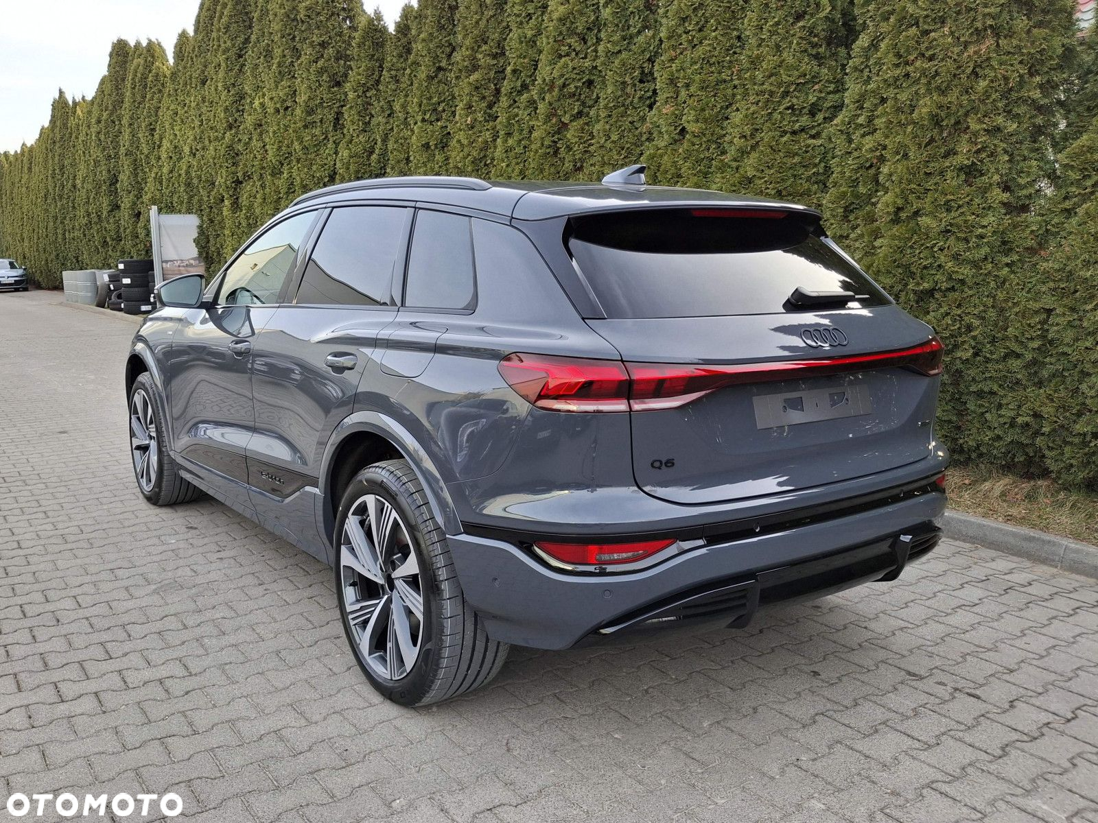 Audi Q6 - 3