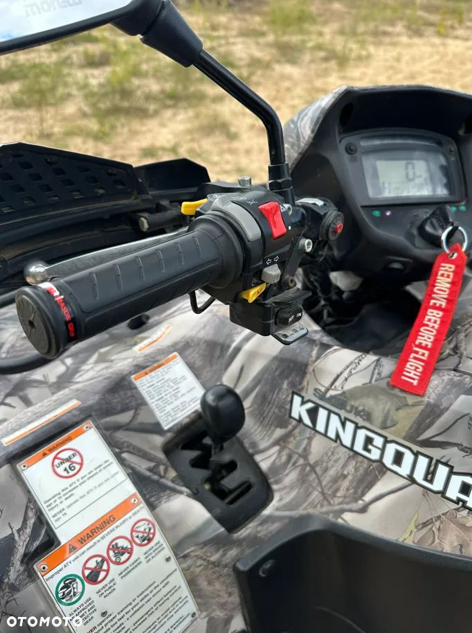Suzuki Kingquad - 10