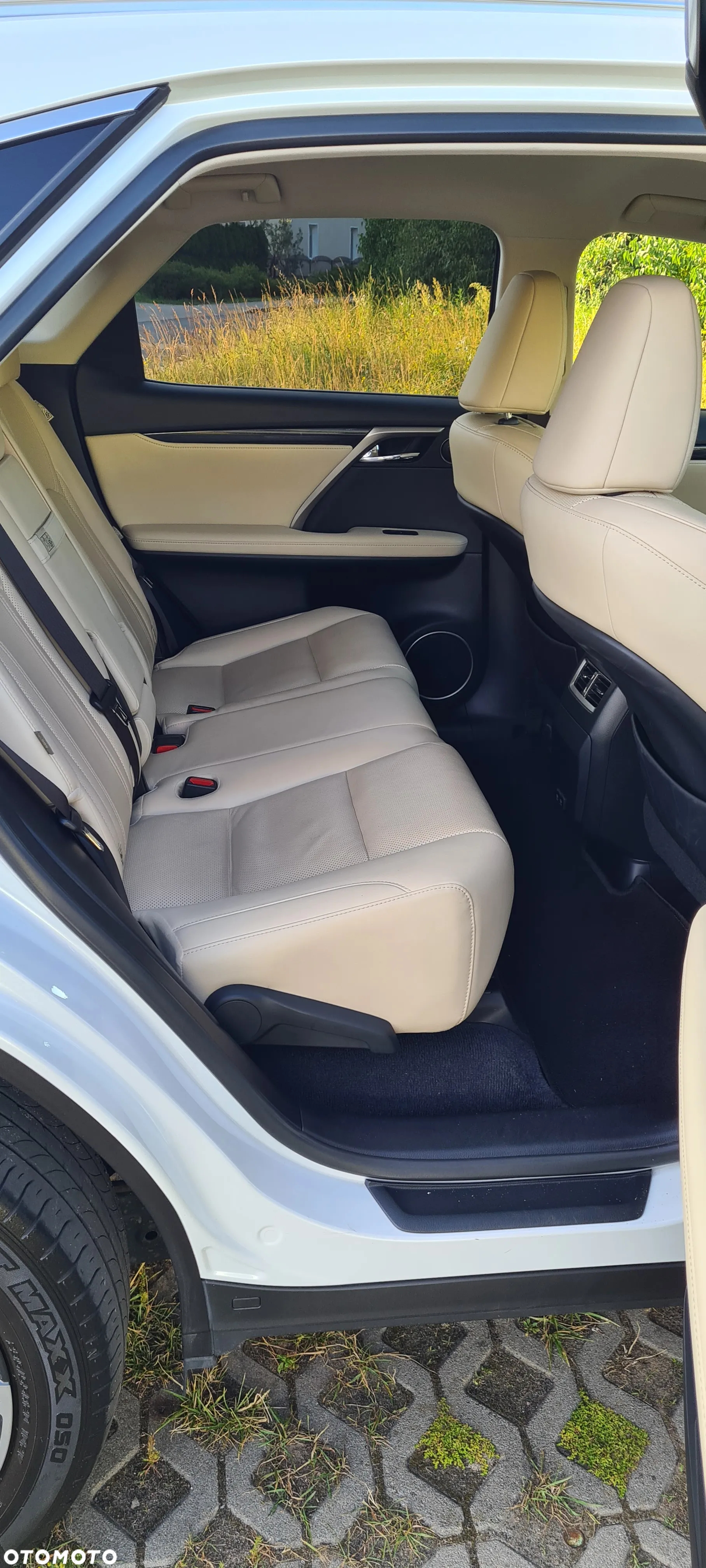 Lexus RX 450h F-Impression - 19