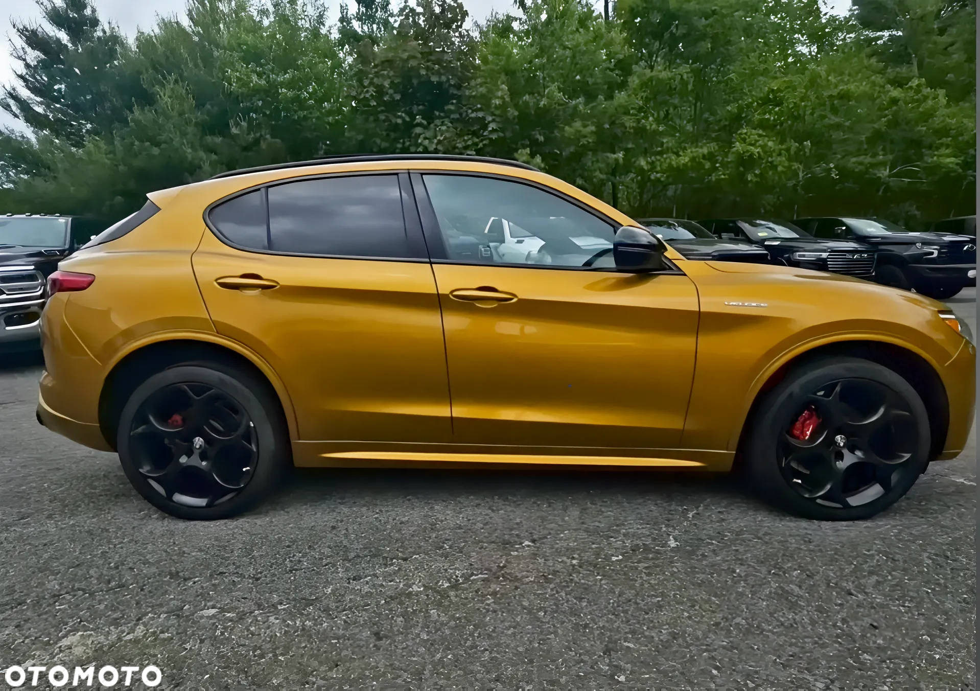 Alfa Romeo Stelvio 2.0 Turbo 16V AT8-Q4 Veloce - 5