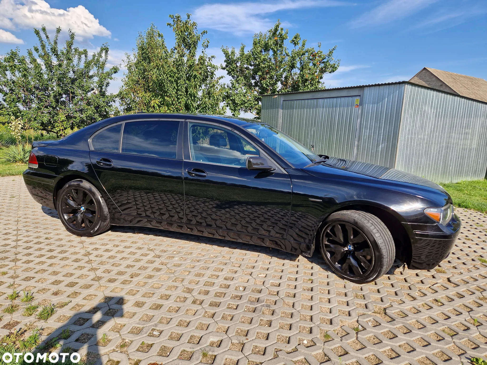 BMW Seria 7 745i L - 5