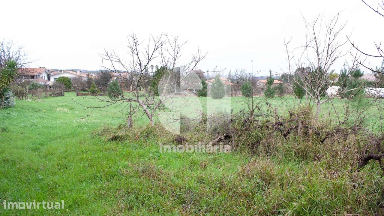 Terreno Urbanizável com 8270 m2 em Vila Verde, Oliveira do Bairro - Grande imagem: 3/10