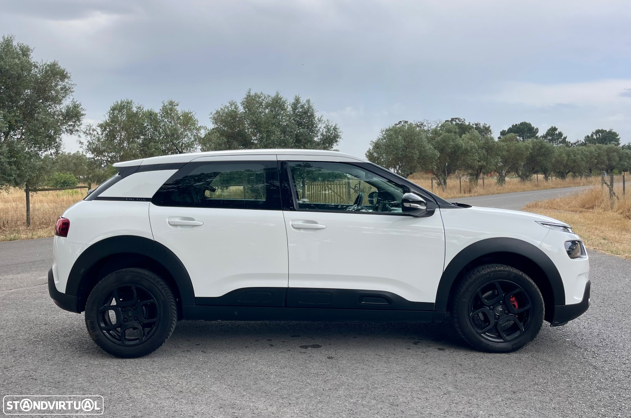 Citroën C4 Cactus 1.5 BlueHDi Feel - 4