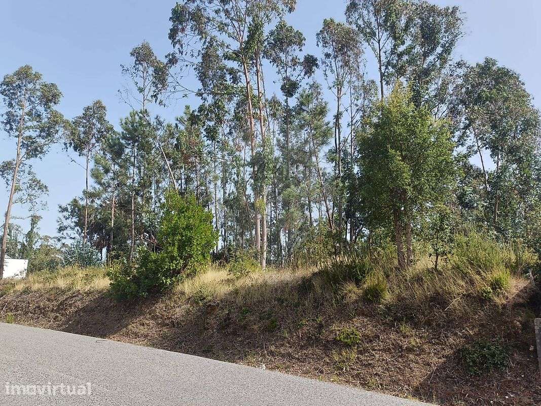 Terreno  para venda - Grande imagem: 4/10