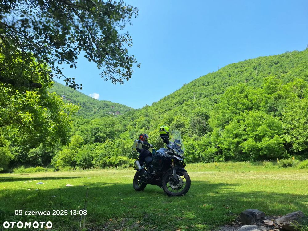 Triumph Tiger - 2