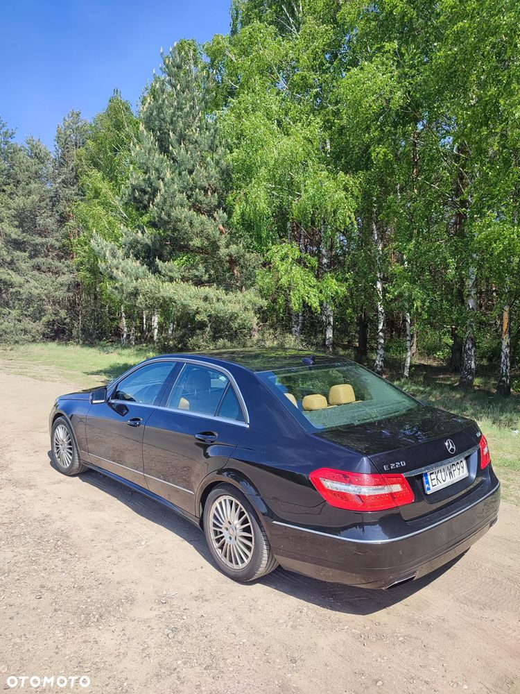 Mercedes-Benz Klasa E 220 CDI BlueEff Avantgarde - 8