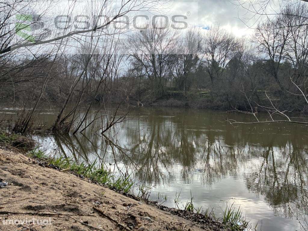 Magnifica Quinta a confinar com Rio Zêzere - Grande imagem: 5/38