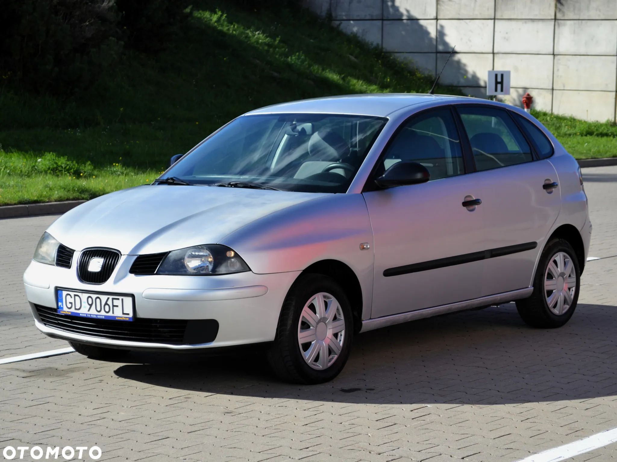 Seat Ibiza 1.9 SDI Prima - 1
