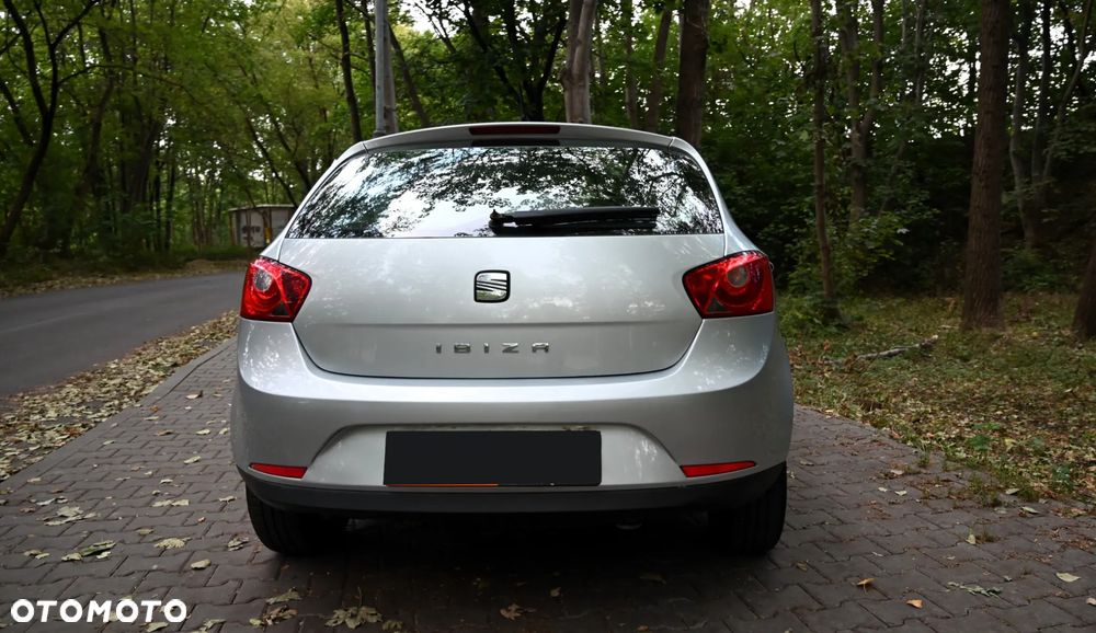 Seat Ibiza - 19