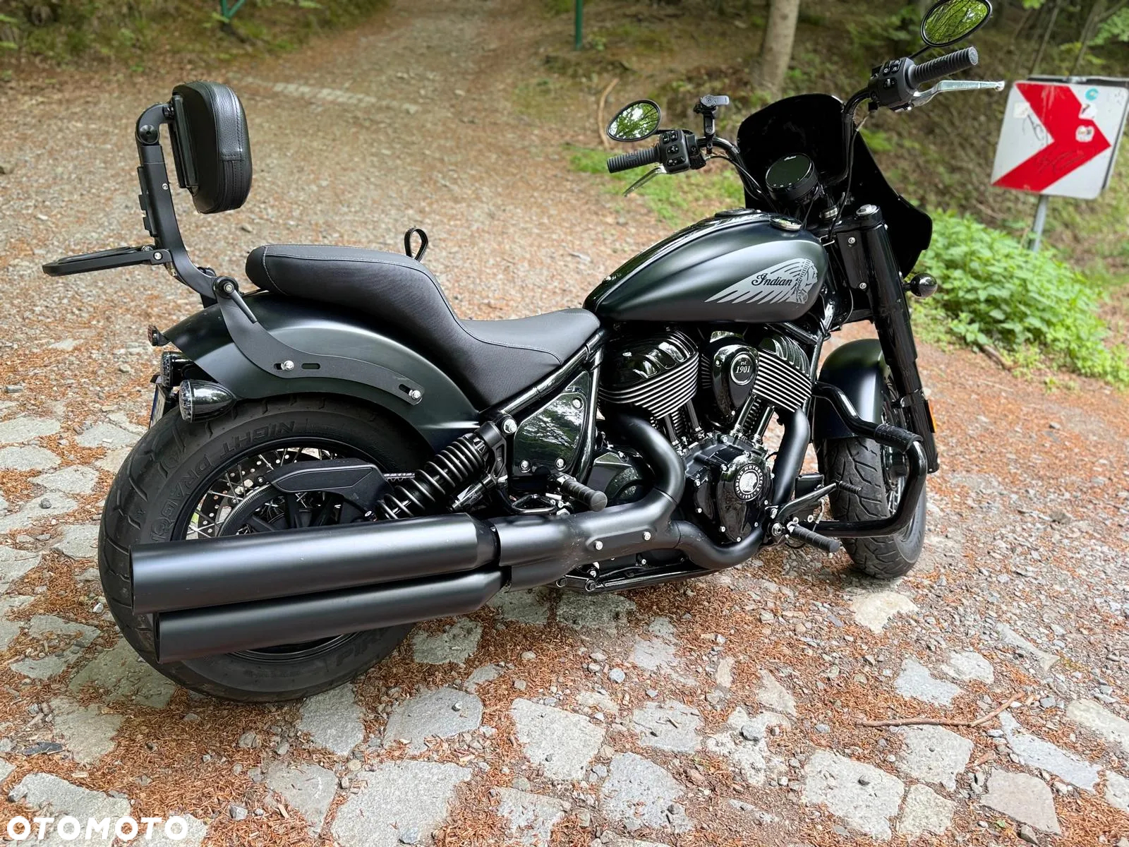 Indian Chief - 2
