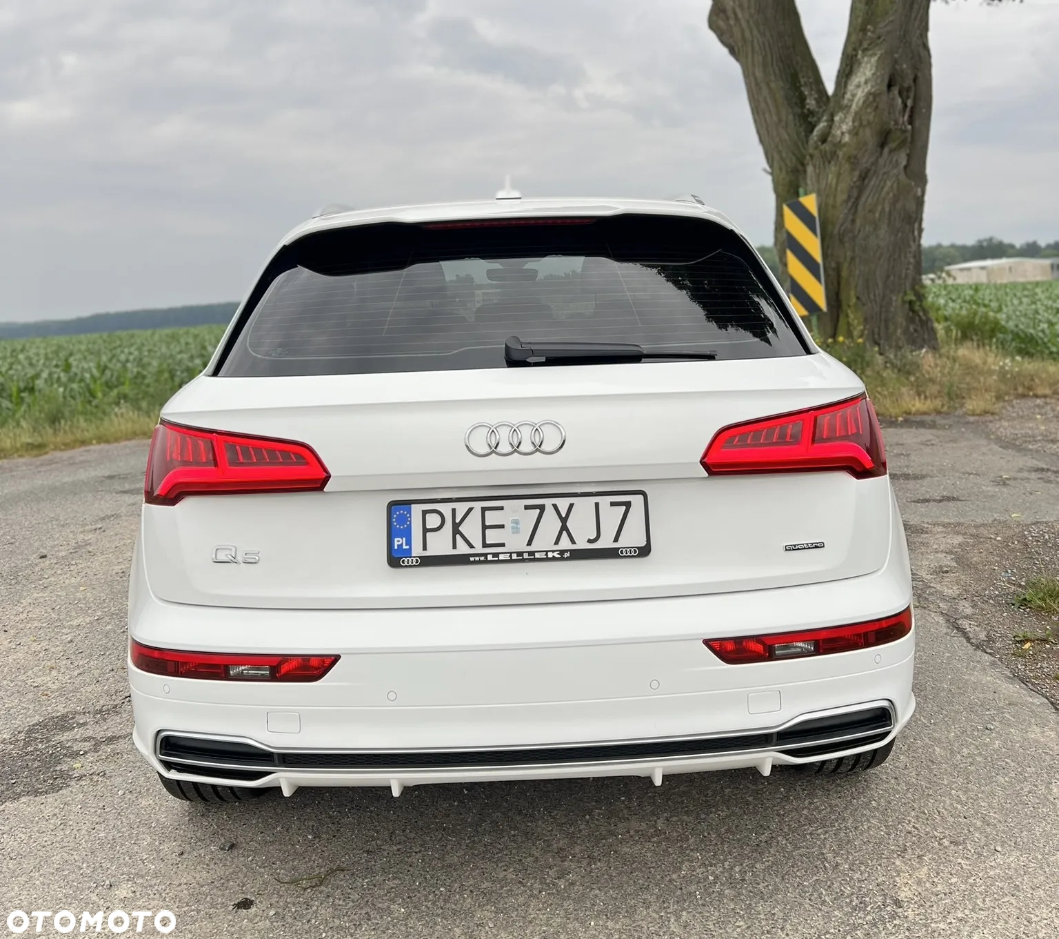 Audi Q5 2.0 TDI Quattro S tronic - 5
