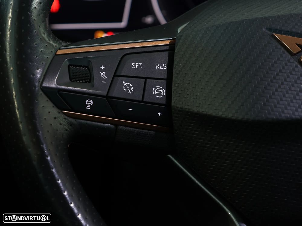 Cupra Formentor 2.0 TDI Plus - 25