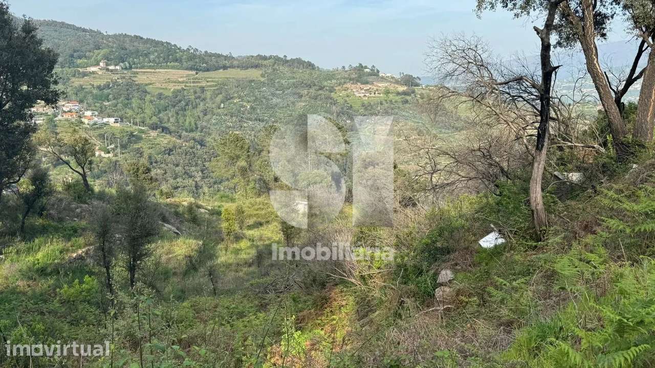 Terreno com PIP aprovado e vista Douro | 19.376 m² | Baião - Grande imagem: 2/14