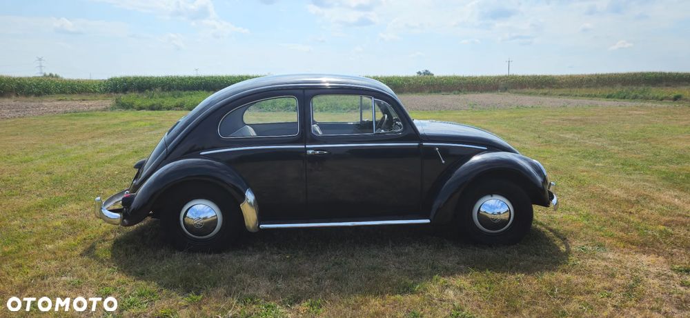 Volkswagen Garbus - 8