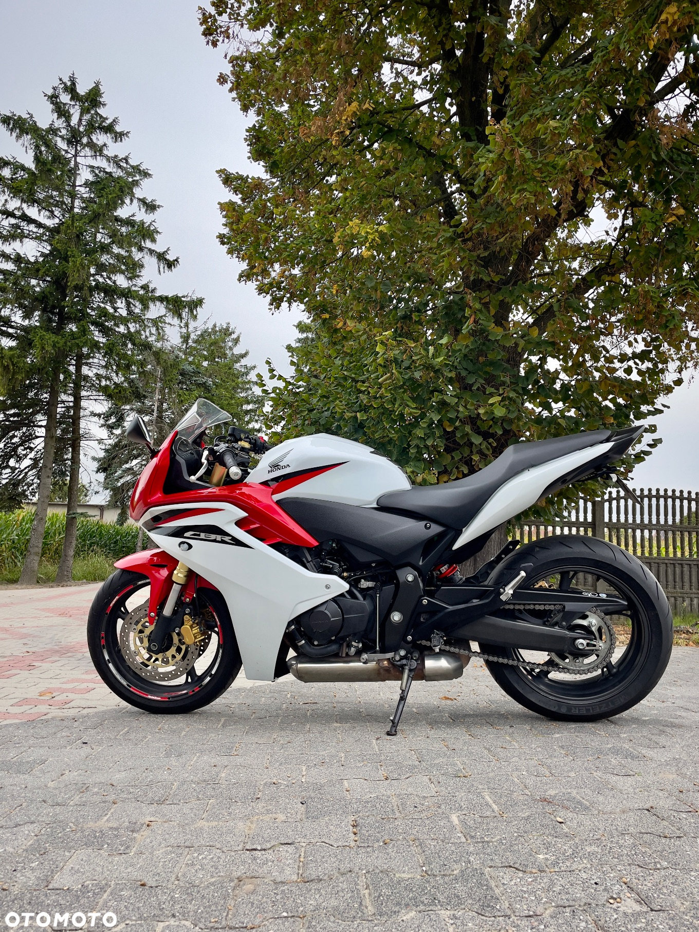 Honda CBR - 7