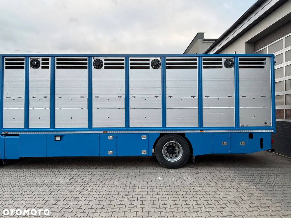 MAN TGS 18.320 2010 rok do przewozu zwierząt , do żywca, do bydła ,zabudowa FINKL z przegordami i wentylatorami , rampa hydrauliczna , z Niemiec - 10