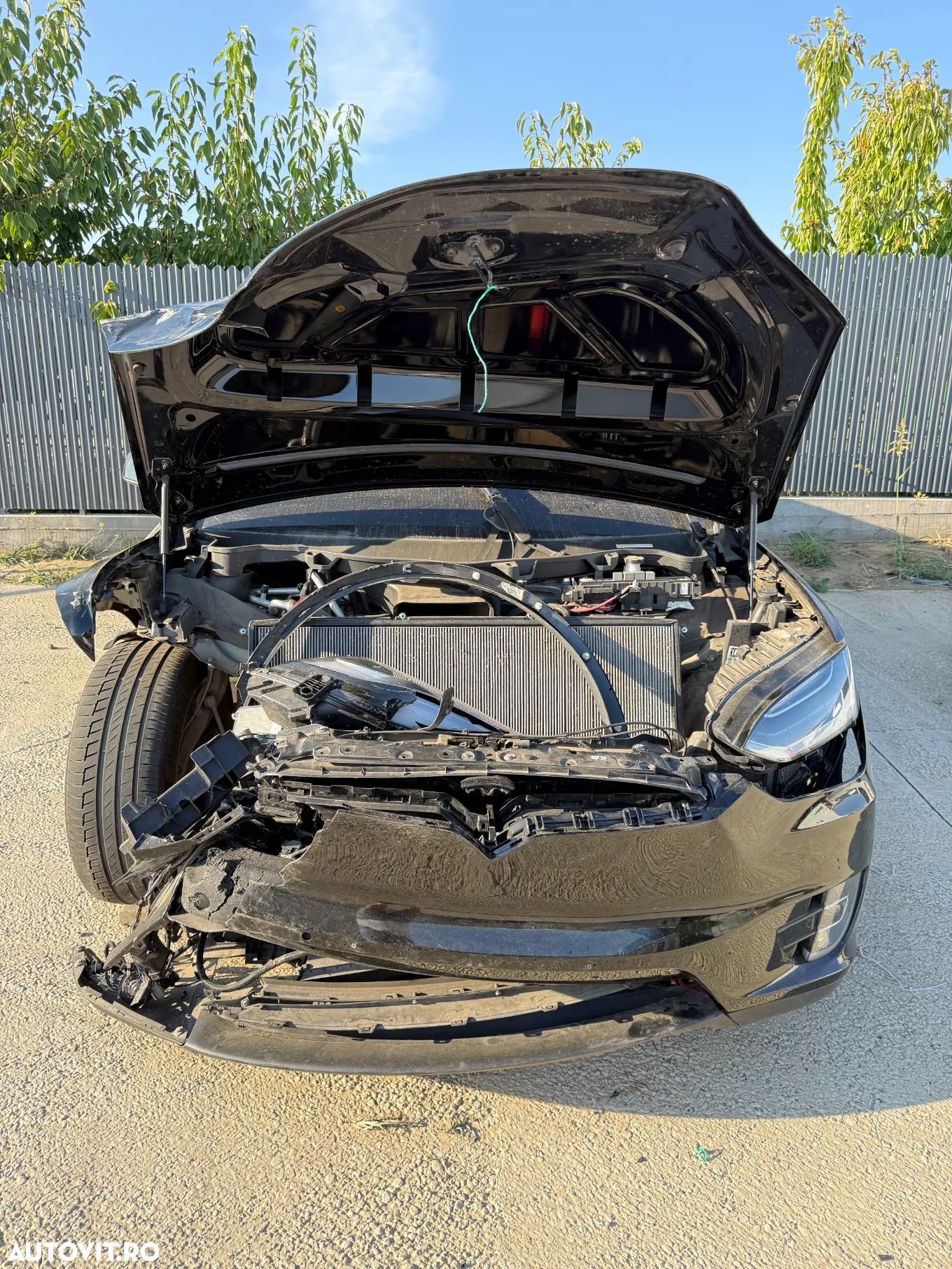 Tesla Model X - 1