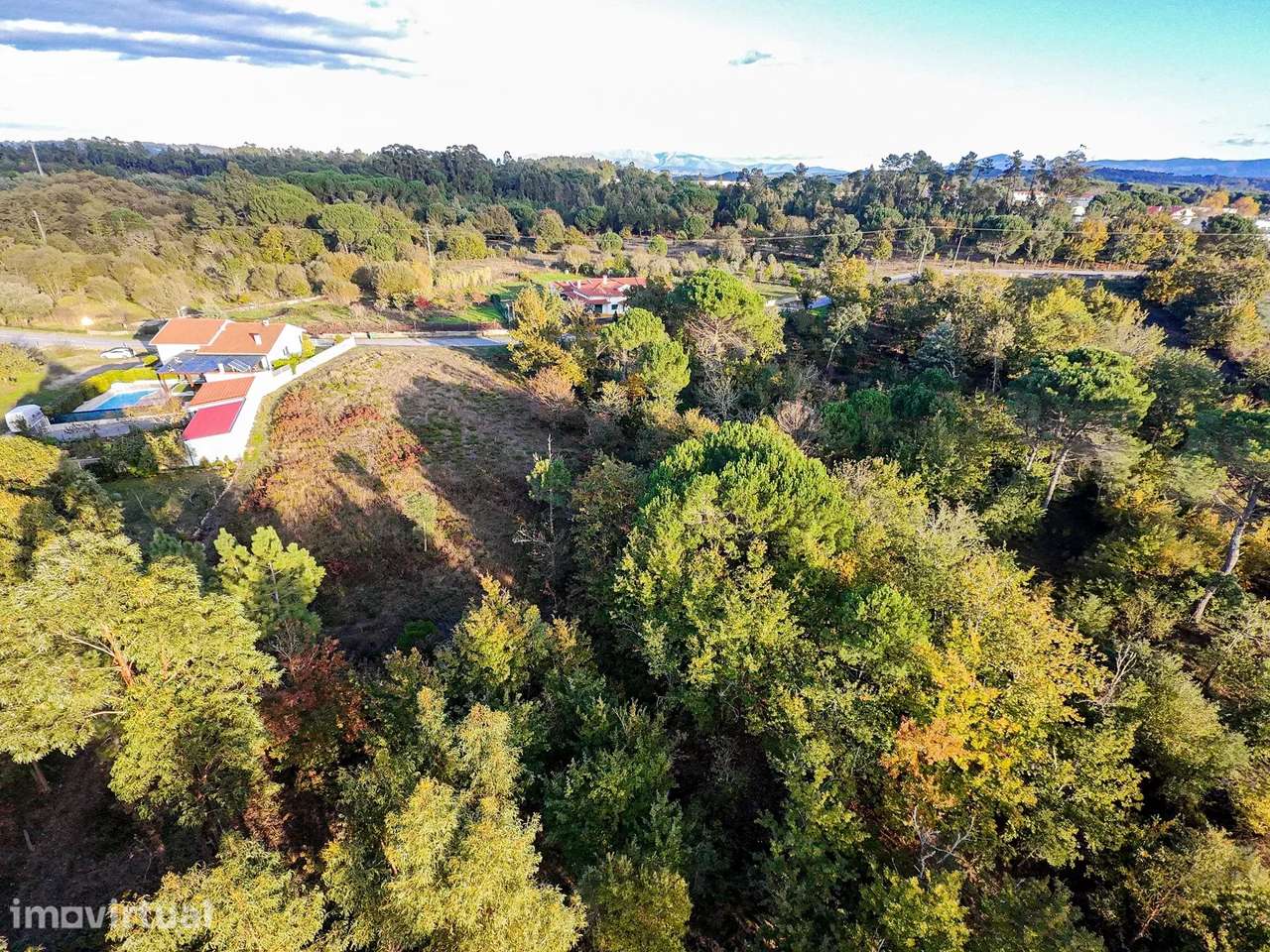 Terreno de 7.912 m2 com Viabilidade de Construção - Tábua - Grande imagem: 2/14