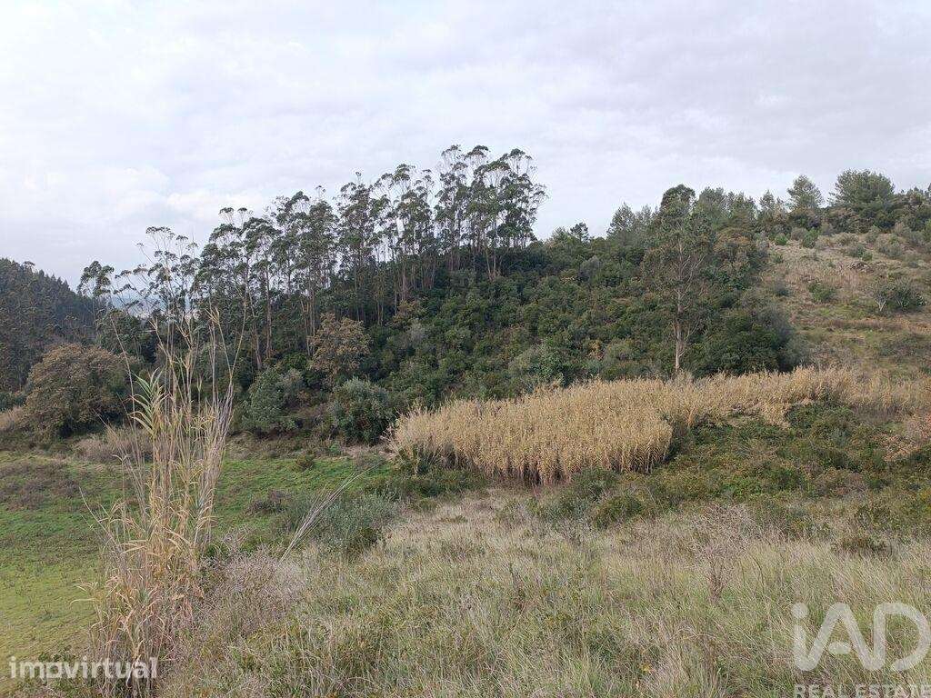 Terreno em Vila Verde dos Francos de 2520,00 m2 - Grande imagem: 2/8