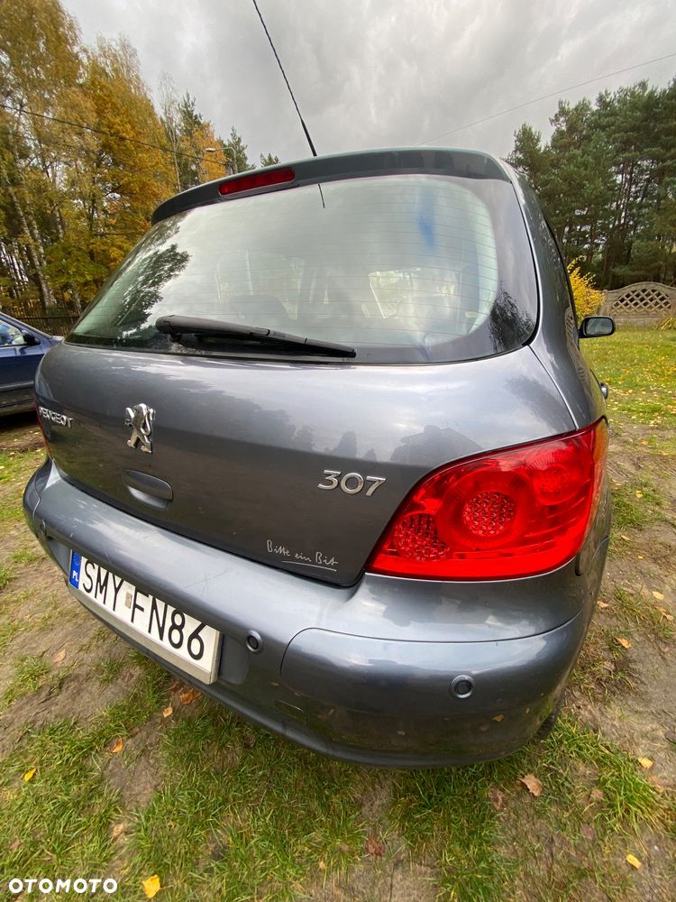 Peugeot 307 - 23