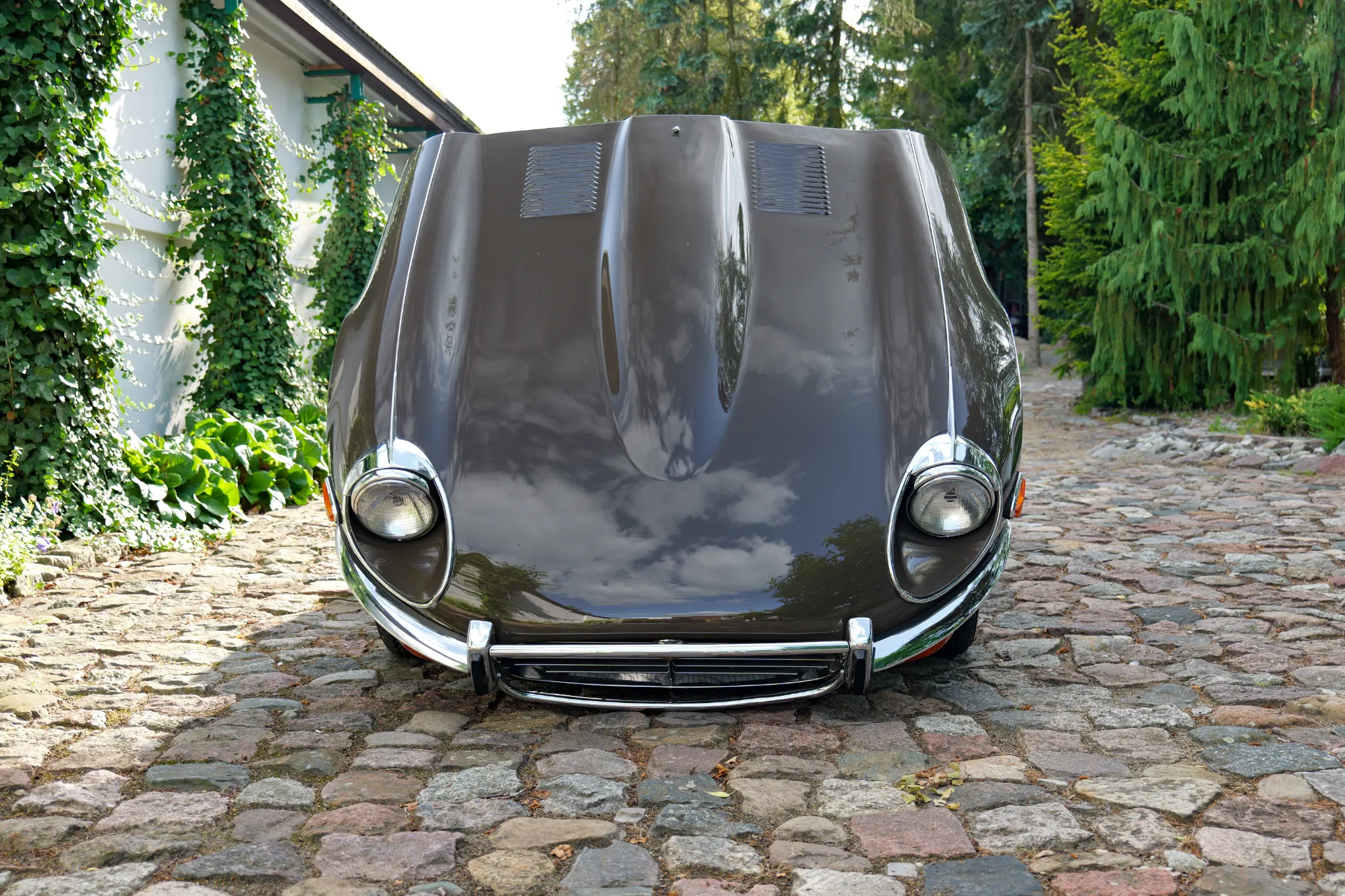 Jaguar E-Type - 40