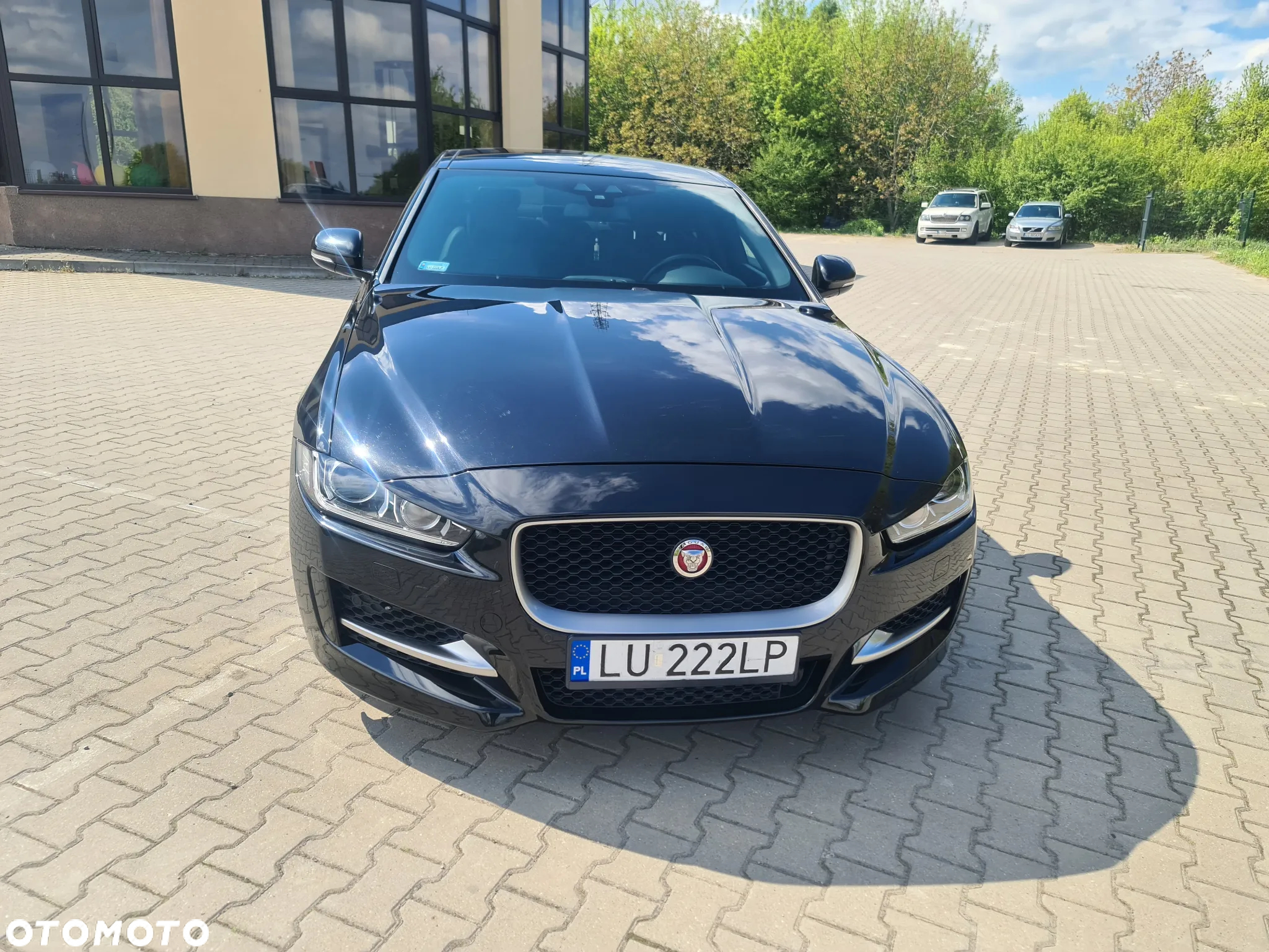 Jaguar XE - 8