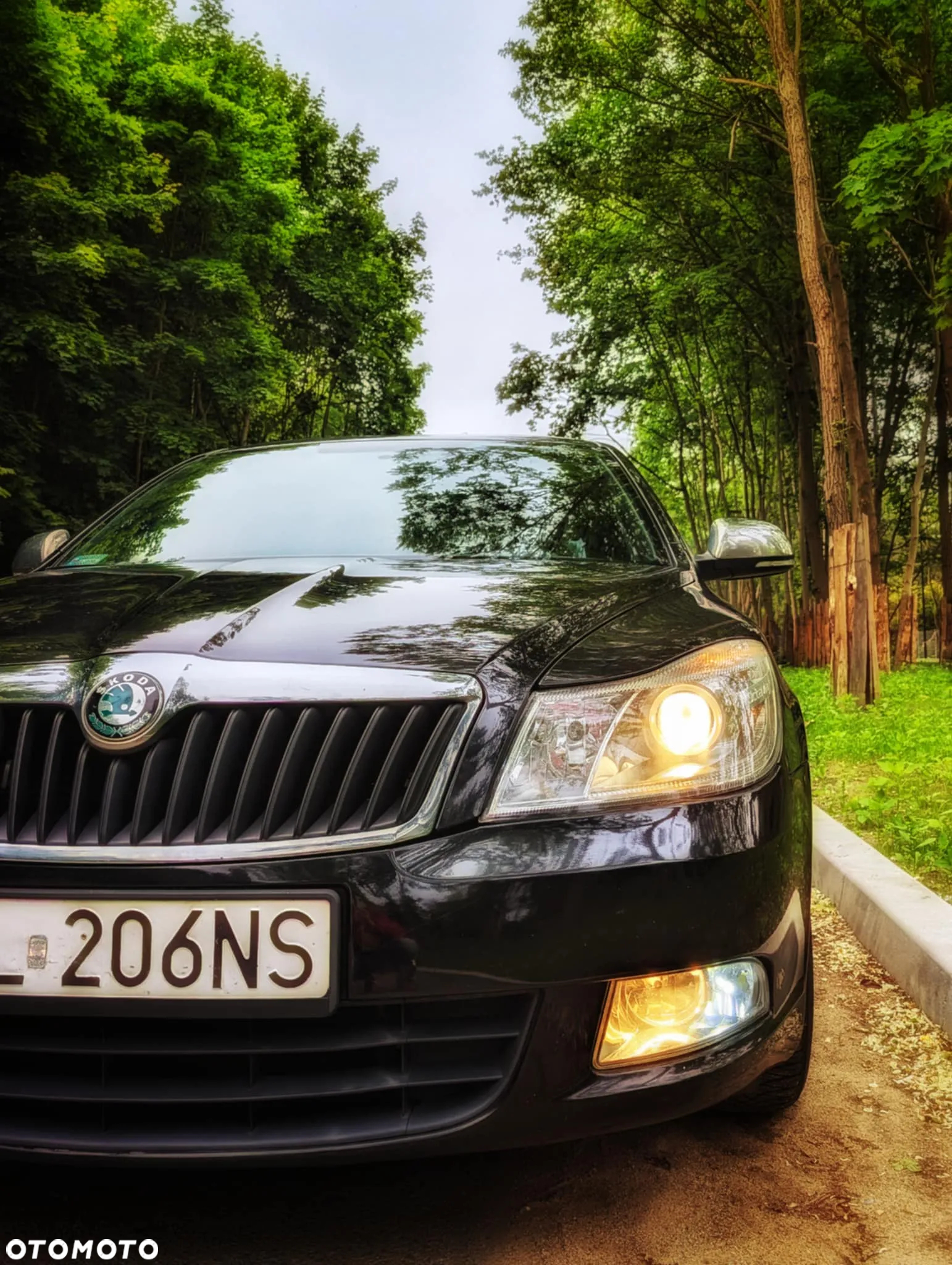 Skoda Octavia 1.6 Active - 3
