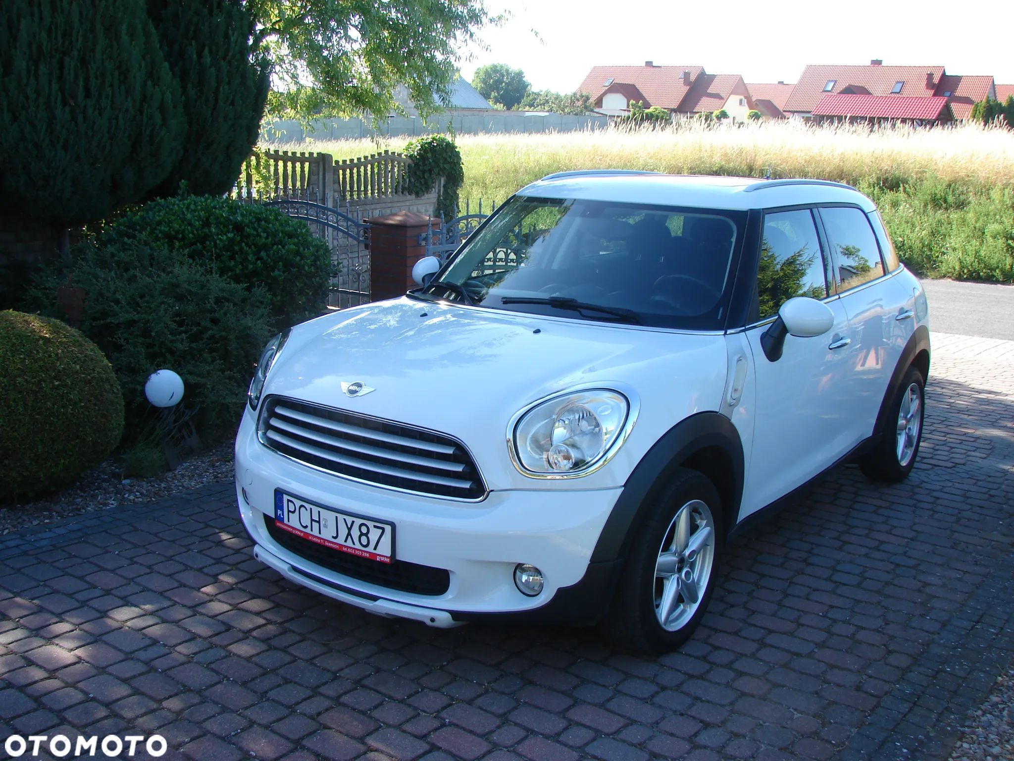 Austin Mini - 1