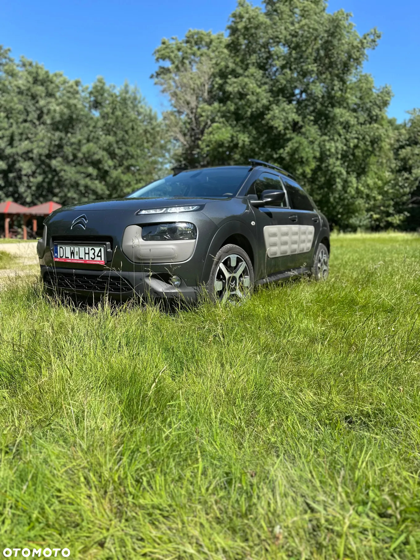 Citroën C4 Cactus 1.6 BlueHDi Feel - 2