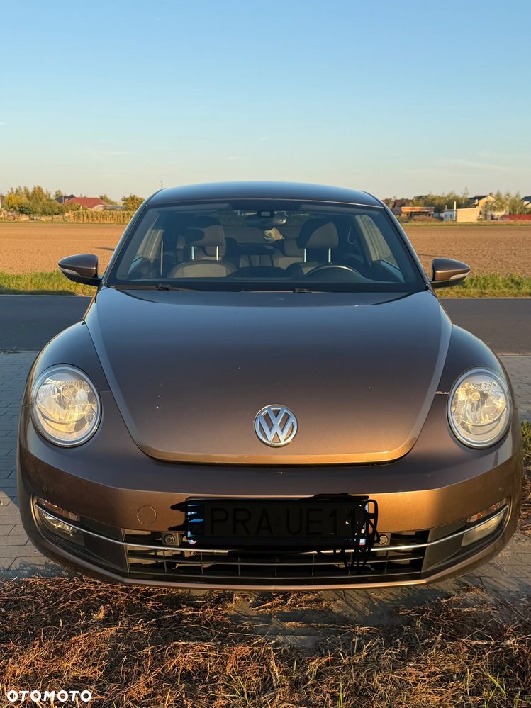 Volkswagen Beetle - 6
