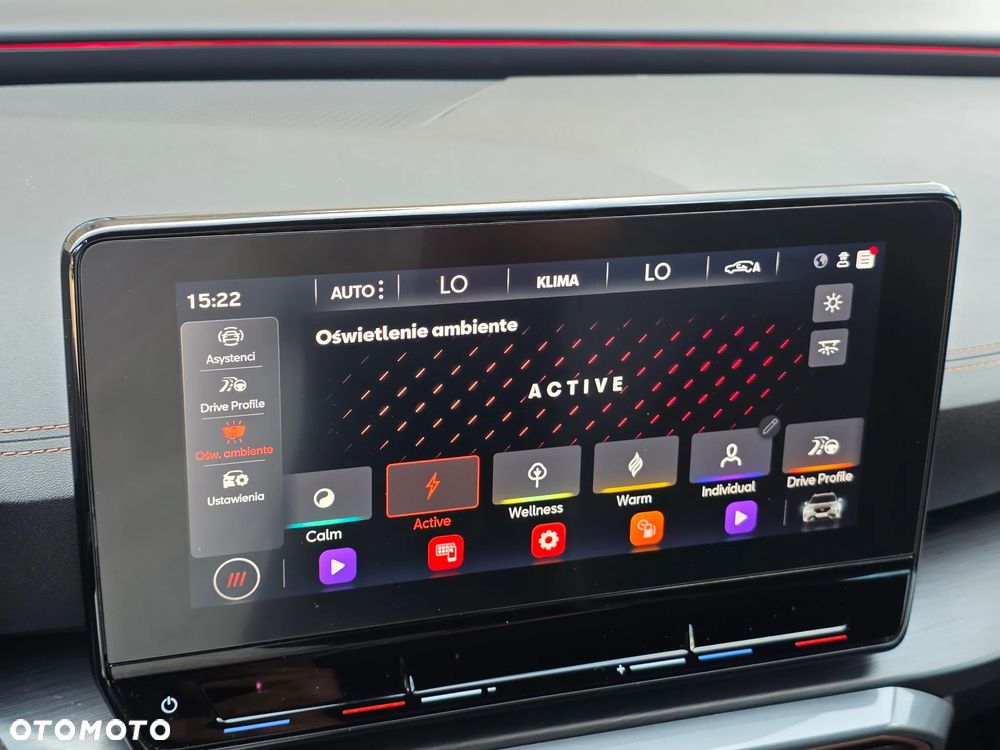 Cupra Formentor 1.5 TSI DSG - 26